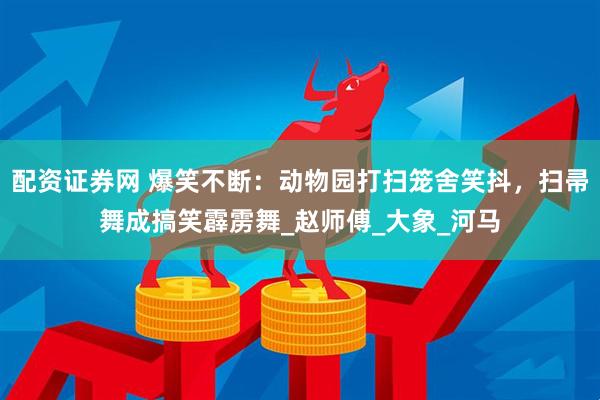配资证券网 爆笑不断：动物园打扫笼舍笑抖，扫帚舞成搞笑霹雳舞_赵师傅_大象_河马