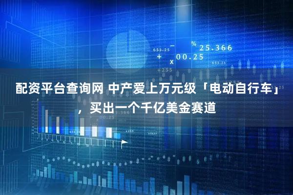 配资平台查询网 中产爱上万元级「电动自行车」，买出一个千亿美金赛道